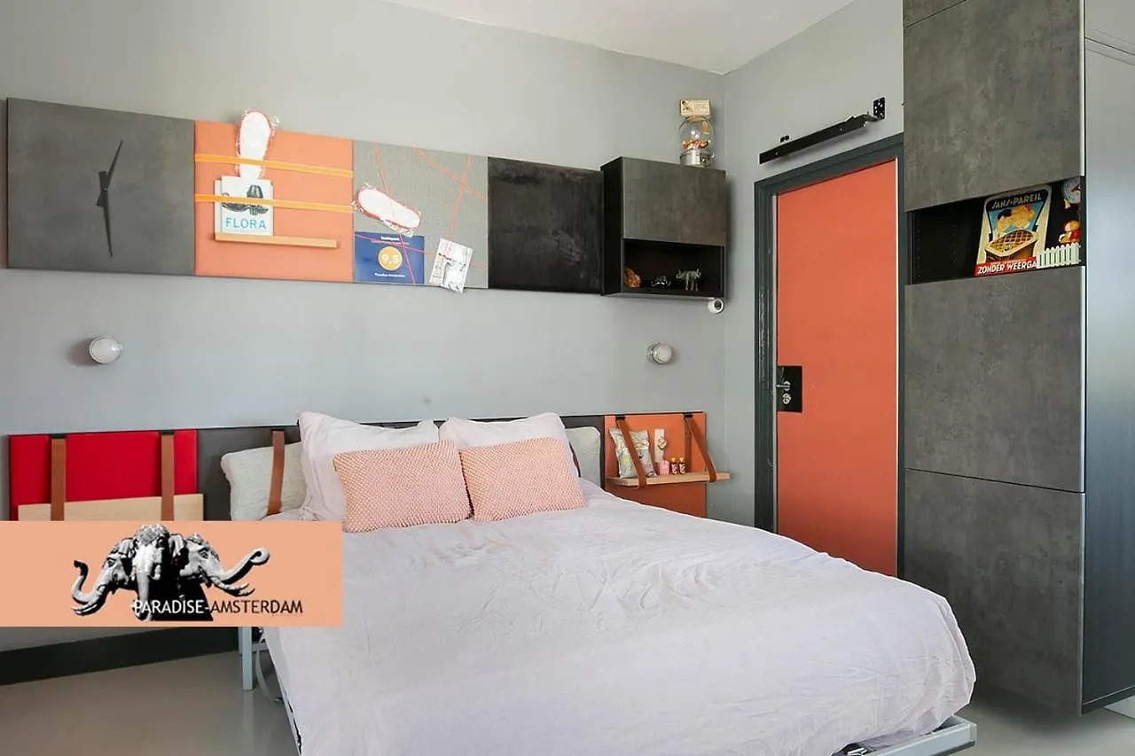 Apartament Paradise Amsterdam Bungalow Of 80 M2 With Private Pool Zandvoort Holandia