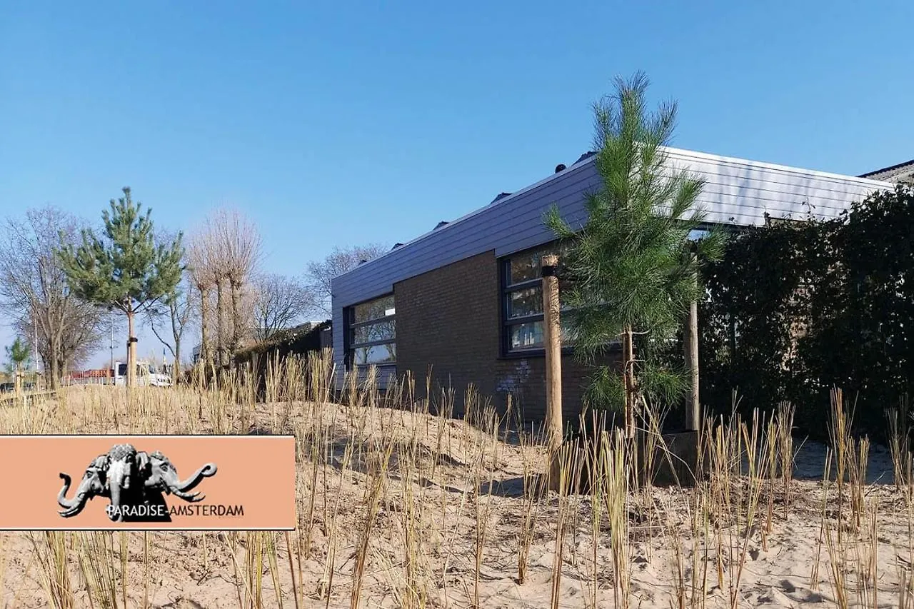 Apartament Paradise Amsterdam Bungalow Of 80 M2 With Private Pool Zandvoort
