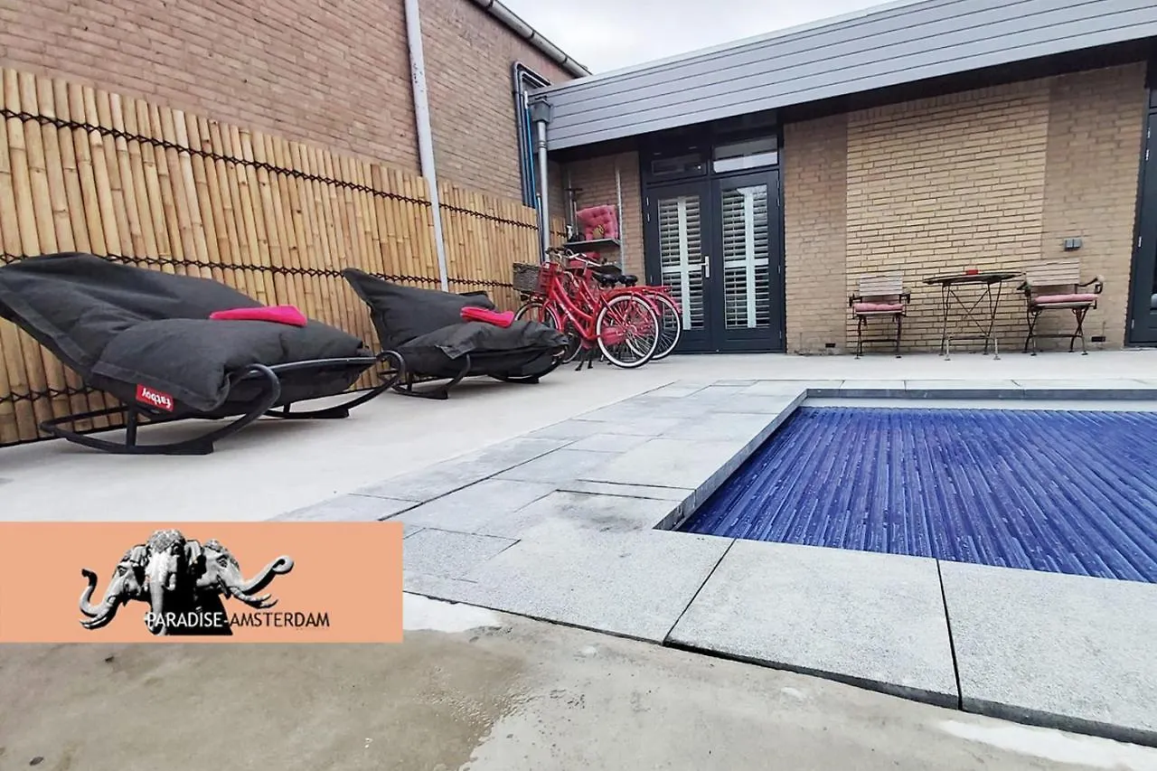 Paradise Amsterdam Bungalow Of 80 M2 With Private Pool Zandvoort