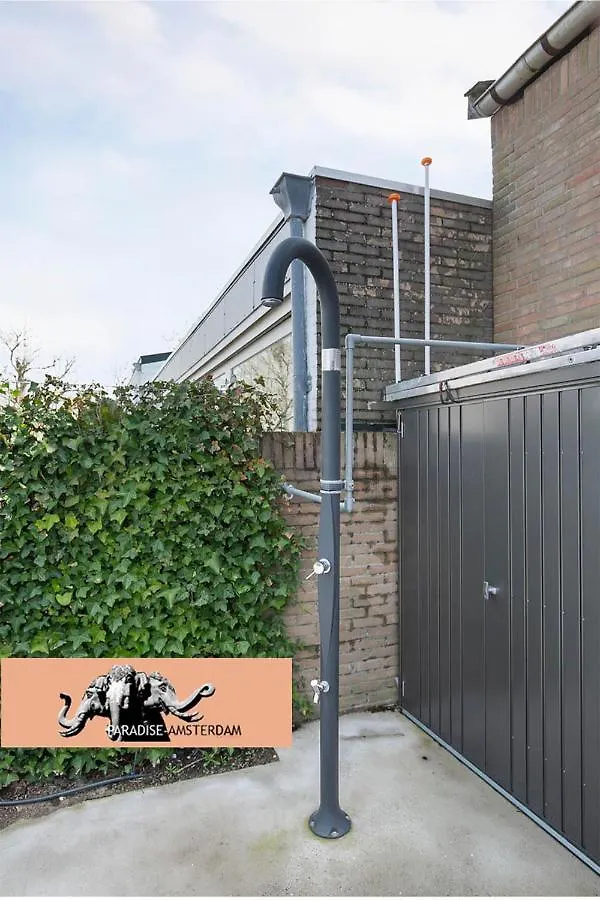 Apartment Paradise Amsterdam Bungalow Of 80 M2 With Private Pool Zandvoort