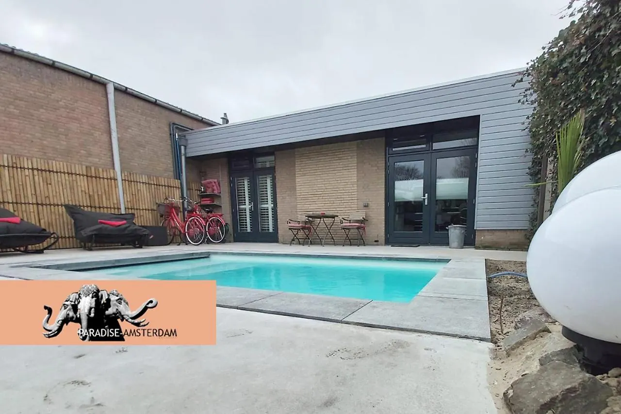 Apartment Paradise Amsterdam Bungalow Of 80 M2 With Private Pool Zandvoort