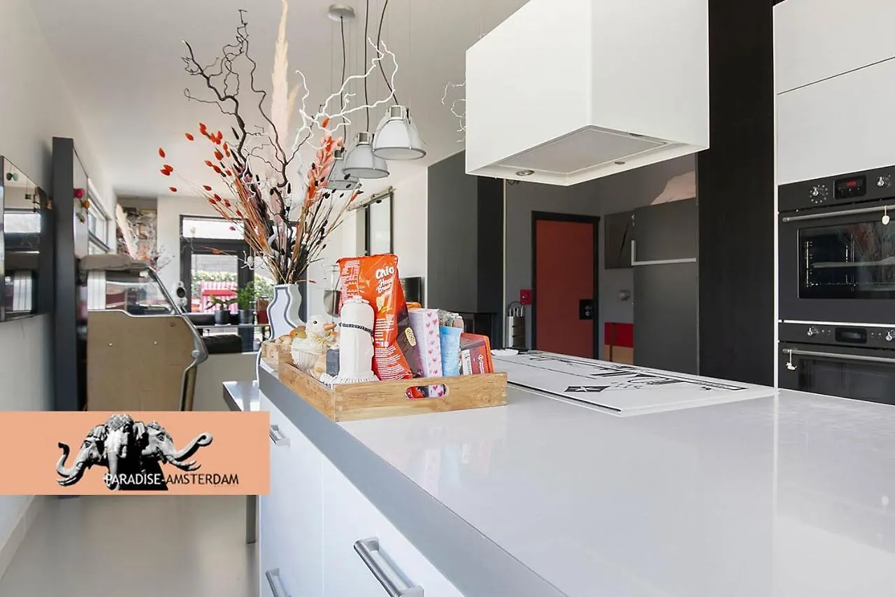 Paradise Amsterdam Bungalow Of 80 M2 With Private Pool Zandvoort