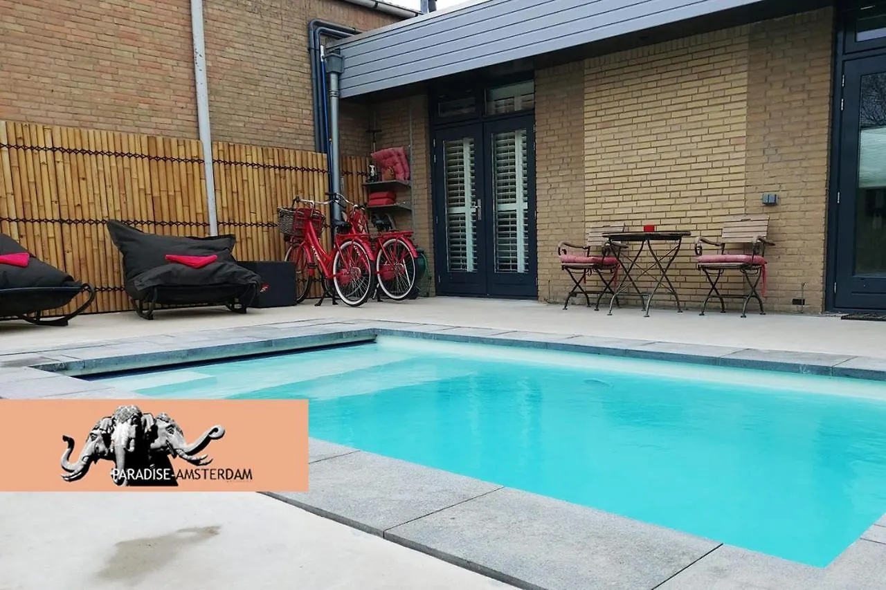 Paradise Amsterdam Bungalow Of 80 M2 With Private Pool Zandvoort